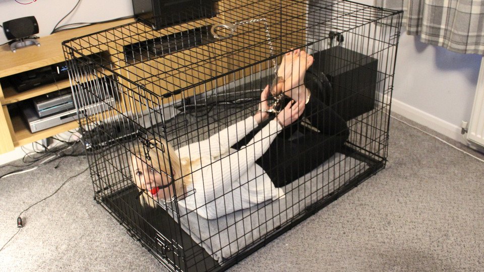 Hogcuffed In Cage And Wire Tied Lil Missy Uk